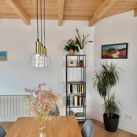 Senorial Panoramico By Exclusive Apartment Burgos